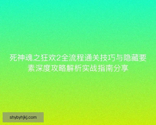 死神魂之狂欢2全流程通关技巧与隐藏要素深度攻略解析实战指南分享