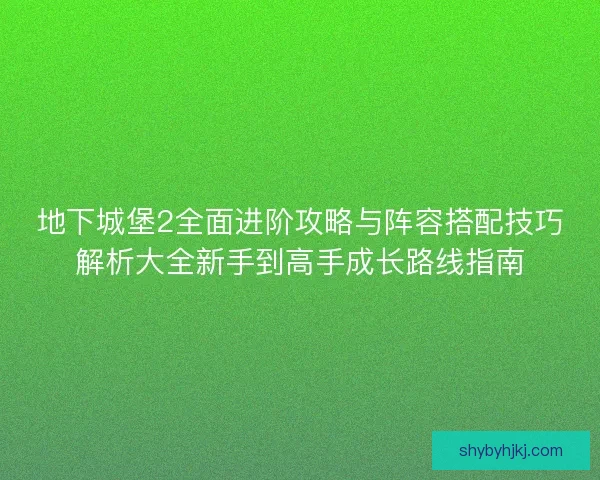 地下城堡2全面进阶攻略与阵容搭配技巧解析大全新手到高手成长路线指南