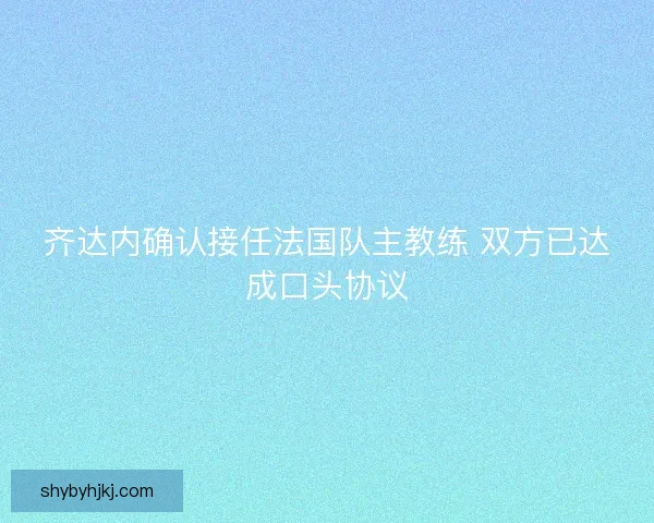 齐达内确认接任法国队主教练 双方已达成口头协议