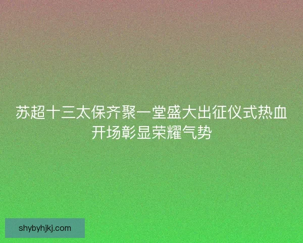 苏超十三太保齐聚一堂盛大出征仪式热血开场彰显荣耀气势 苏超十三太保齐聚一堂盛大出征仪式热血开场彰显荣耀气势